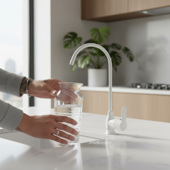 Mat Beyaz Arıtma Musluğu Tekli Arıtıcı Musluk Beyaz Arıtma Armatürü