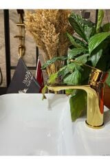Parlak Gold Larancia Lavabo Bataryası Altın Lavabo Bataryası Altın Musluk